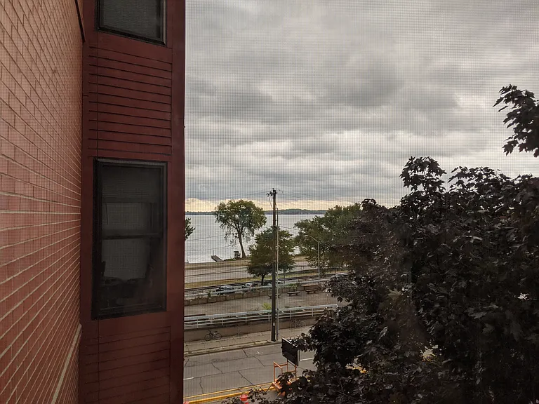 Lake Views