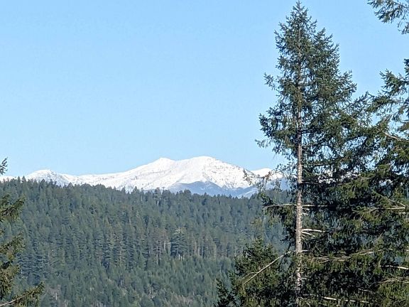 4th image of 101021010 Reeves Rd