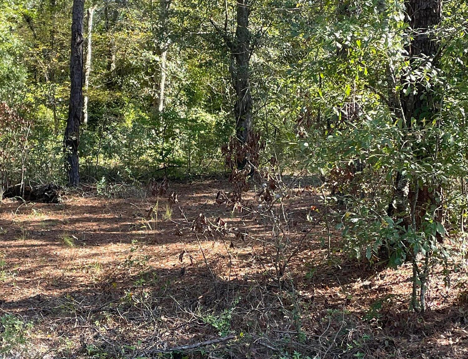 1930 Griffin Rd, Macon, GA 31216 Zillow