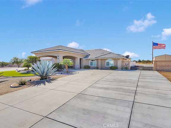 2nd image of 9957 9957 Silver Palm