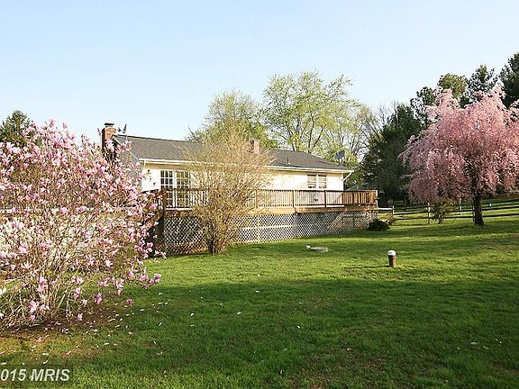 Exterior (Rear)