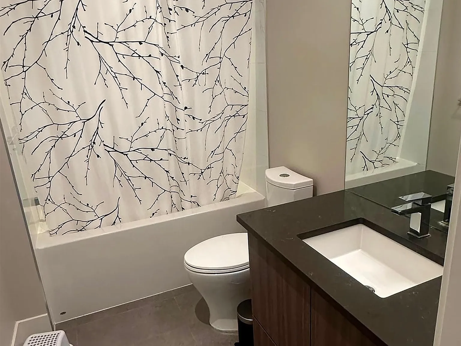 1 bed, 130 sqft, $1,500 — Photo 3