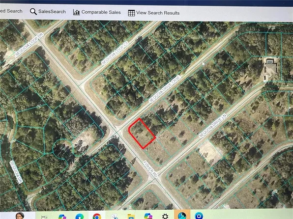 Sequioa Drive Crse #30, Ocklawaha, FL 32179