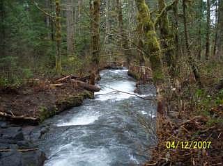 3rd image of Usfs 7550 #Tract 10