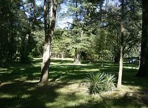 5th image of 17829 NW 20th Ave