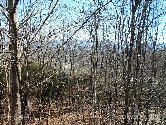 3rd image of 12 Bobcat Lair Dr