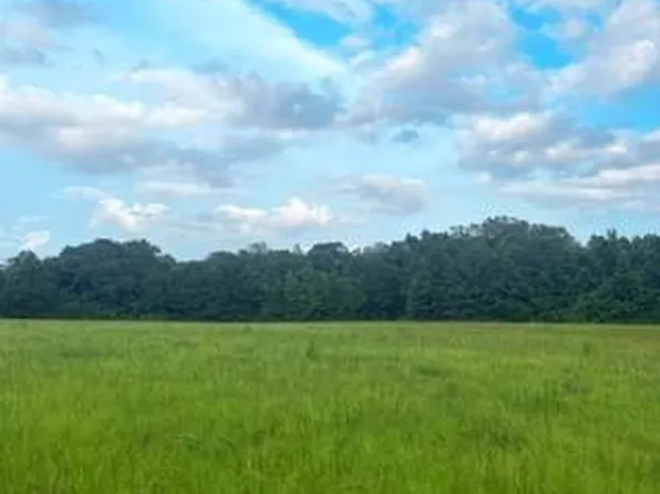 Highway 421, Saint Francisville, LA 70775