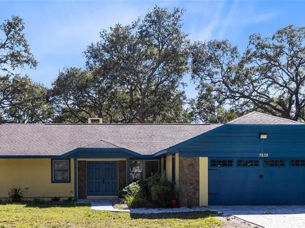 7838 Sloewood Dr, Mount Dora, FL 32757