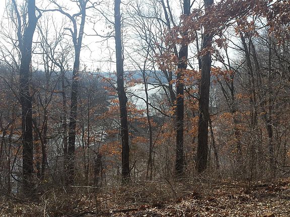 View from Back Door and Kitchen Window
