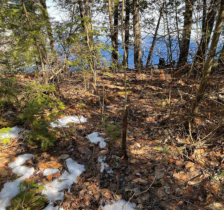 2nd image of Hiawatha Dr