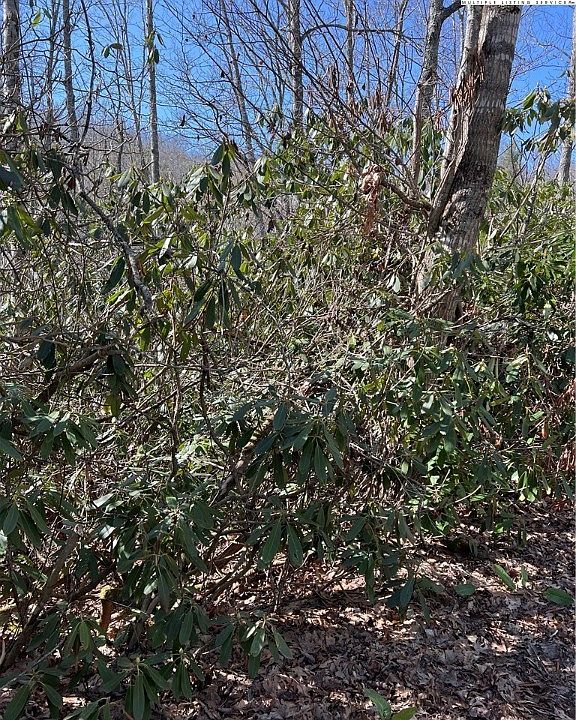 2nd image of 134 Goldfinch Road