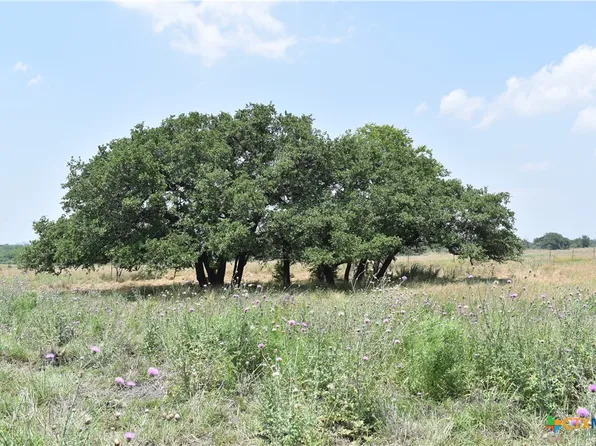 TRACT 16 Fm 1704, Pottsville, TX 76565