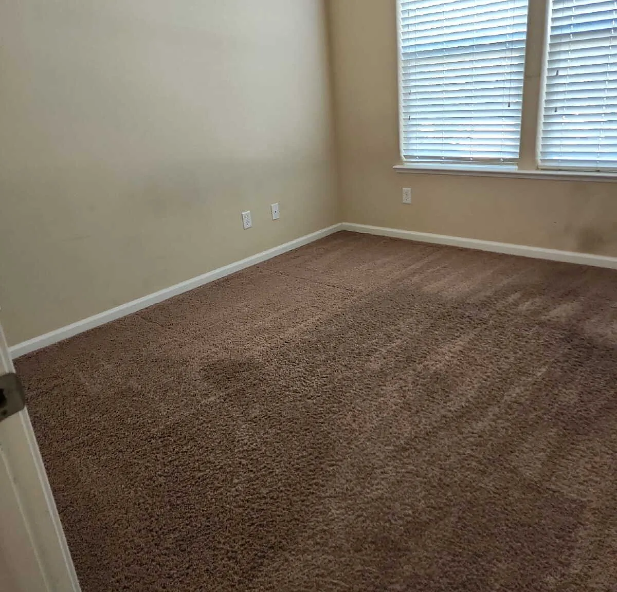 1 bed, $800 — Photo 4