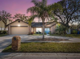 4131 Spring Way Cir, Valrico, FL 33596