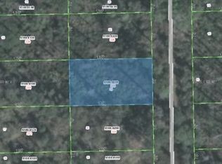 202 Pheasant Rd, Satsuma, FL 32189