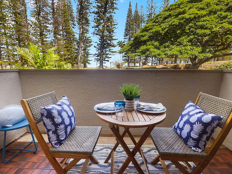 500 Kapalua Dr #21V1 — Photo 15