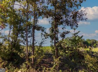 TRACT 6 Carlisle Gap Rd, Woodland, GA 31836