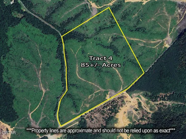 0 Rockport McIllwain Rd Lot 4, Holladay, TN 38341