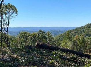 Black Valley Rd, Sneedville, TN 37869