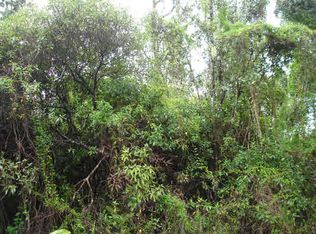 King Kamehameha Blvd LOT 8, Pahoa, HI 96778