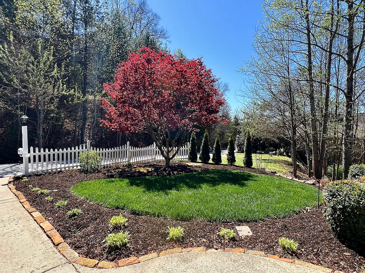 Minimal Yard Maintenance - 260 Carriage Summitt Way
