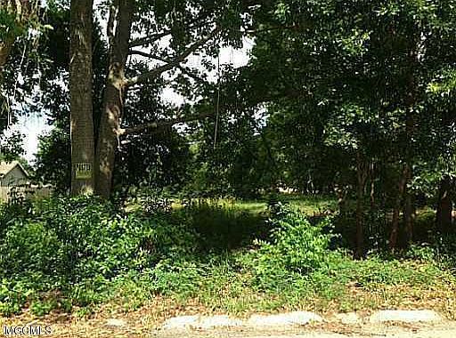 1st image of 0 Dogwood Ln