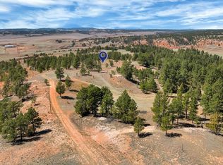 LOT 1 Spirit Canyon Rd, Edgemont, SD 57735