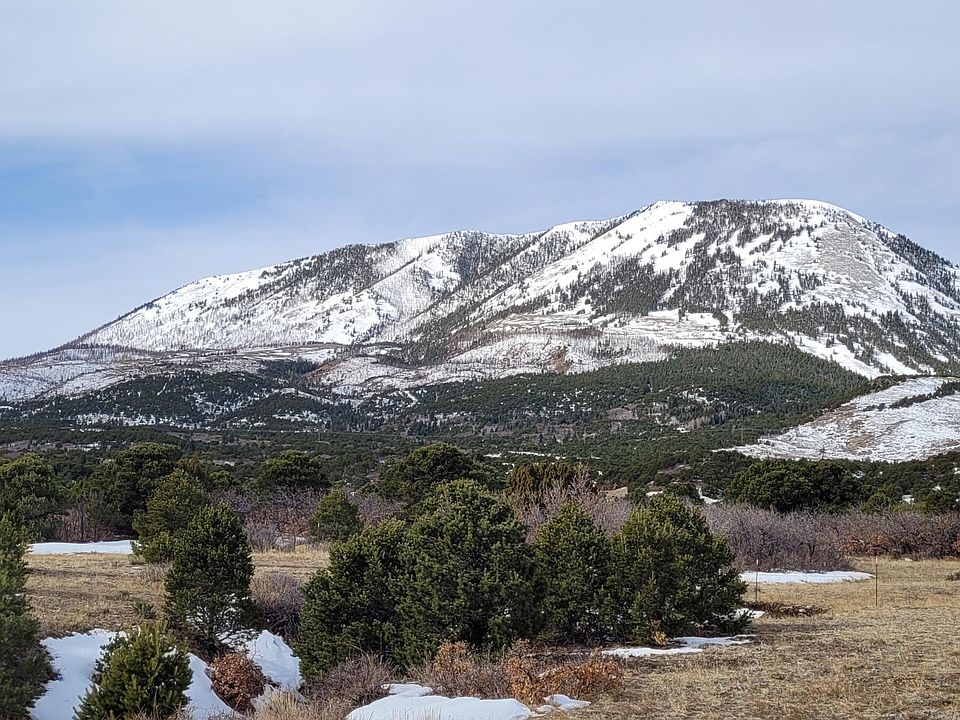 1st image of 84 Colo Land & Grazing Cir #1