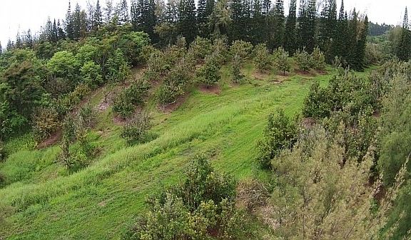 4th image of LOT 6 Lot 6