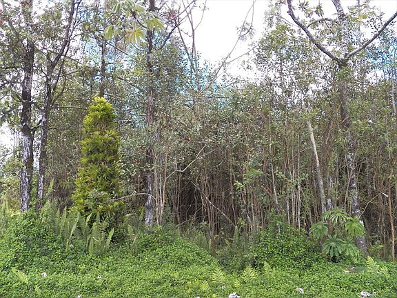 4th image of 27th Ave Lot 203
