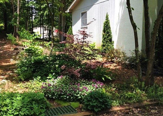 "Japanese garden"