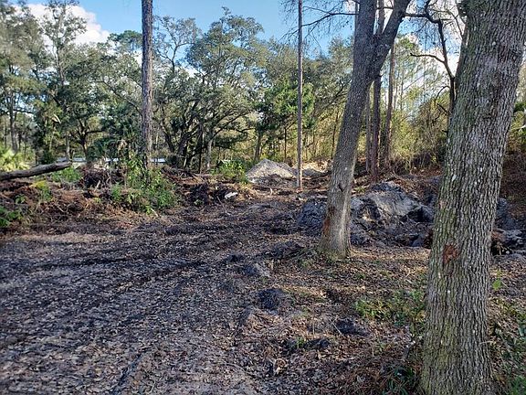 2nd image of 6621 Basswood Ave