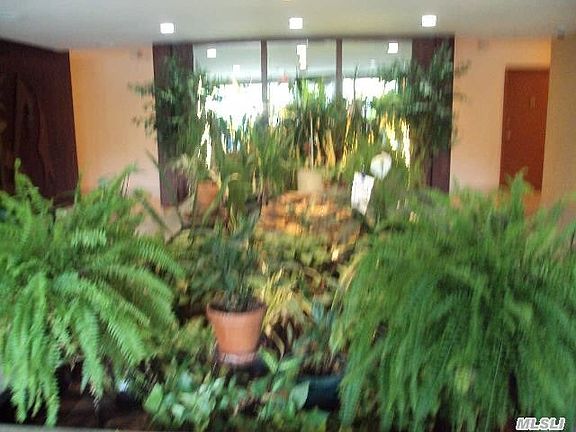3rd image of 100 Brooklyn Ave APT 3G