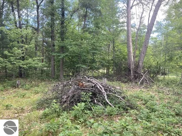 0 Whitetail Dr Lot 115, Alger, MI 48610