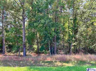 19 Ora Ln, Chesterfield, SC 29709