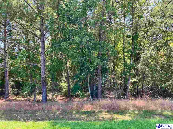 19 Ora Ln, Chesterfield, SC 29709