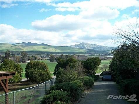 Looking east at the driveway.