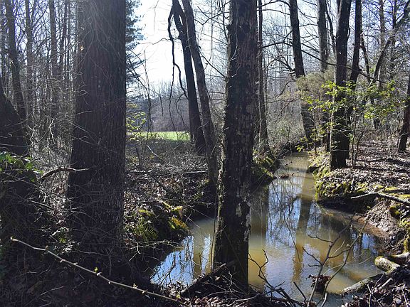 4th image of 0 Arlie Neely Rd
