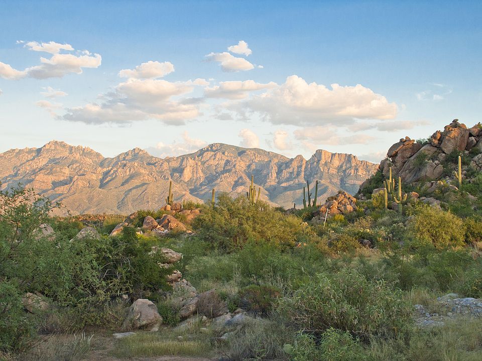 1st image of 1506 W Tortolita Mountain Cir #292