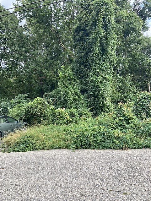 1st image of 740 Jefferson Pl