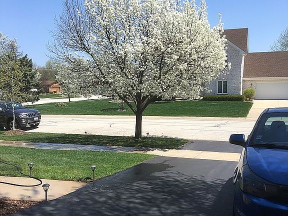 4th image of 16718 Anne Marie Ave