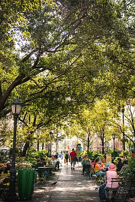 Rented by Living New York | media 43