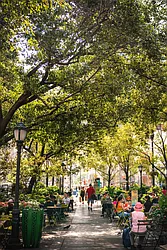 Rented by Living New York