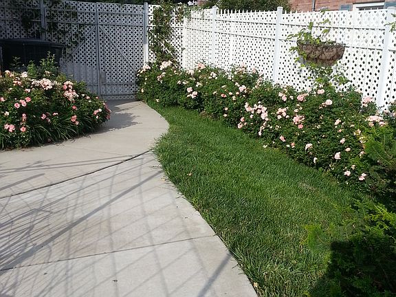 new side walk