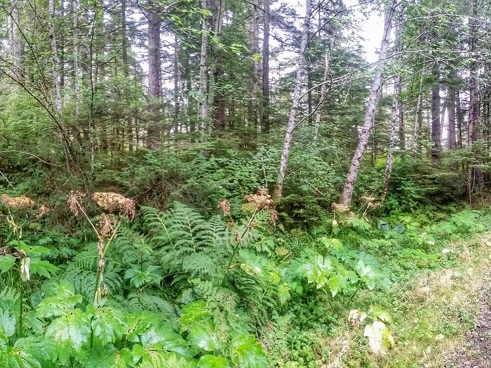 2nd image of Nhn North Douglas Hwy Peterson Crk