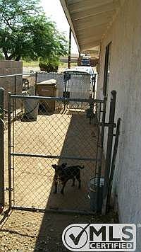 dog run