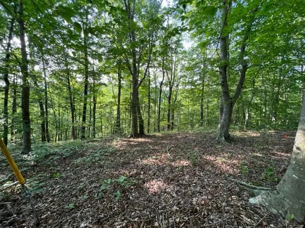 0 Falcon Dr, Byrdstown, TN 38549