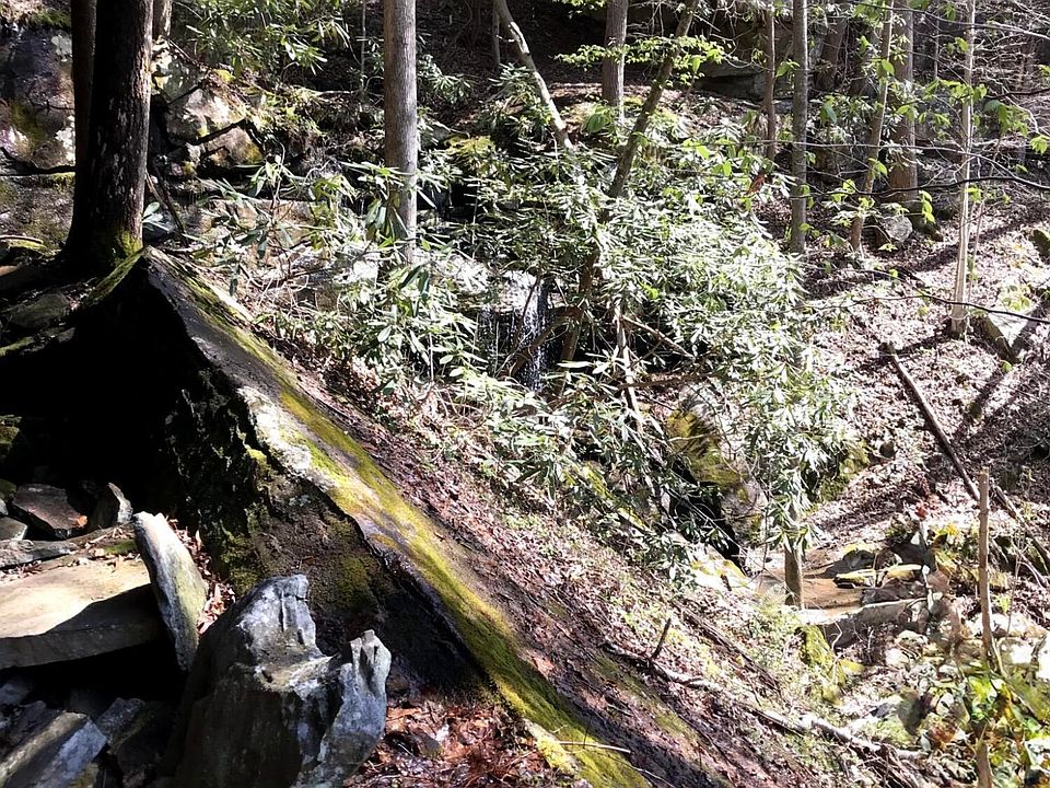1st image of Arbutus Trail Aka Silcox Ford Rd