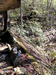 Arbutus Trail Aka Silcox Ford Rd, Helenwood, TN, 37755