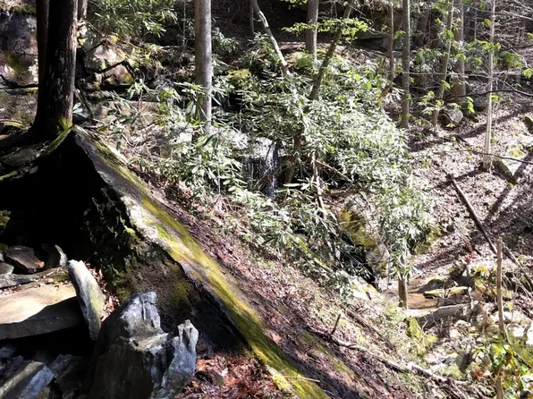 Arbutus Trail Aka Silcox Ford Rd, Helenwood, TN 37755